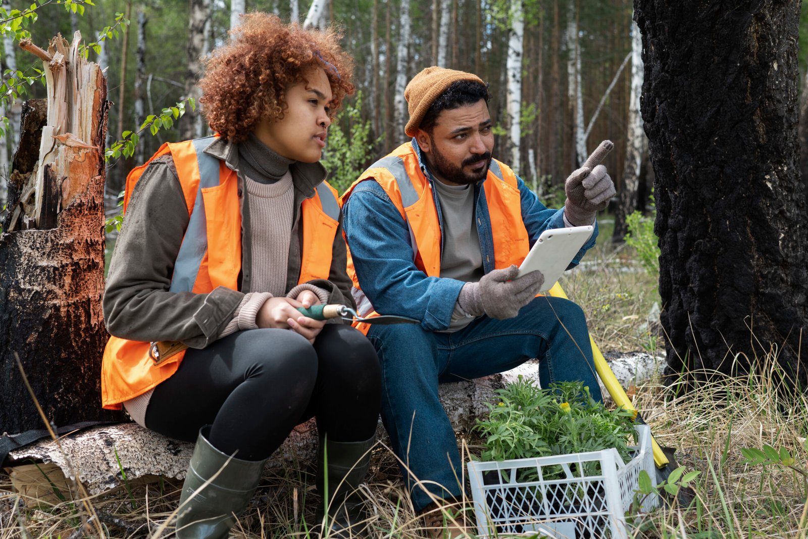 Average Salary for Engineers in 2025 – Country, Field & Experience